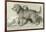 The Three Dogs-Edwin Henry Landseer-Framed Giclee Print
