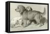 The Three Dogs-Edwin Henry Landseer-Framed Stretched Canvas