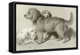 The Three Dogs-Edwin Henry Landseer-Framed Stretched Canvas