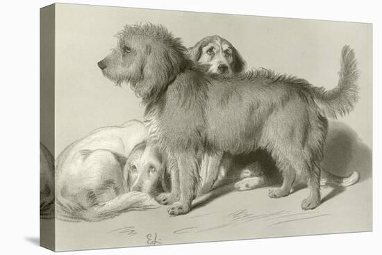 The Three Dogs-Edwin Henry Landseer-Stretched Canvas