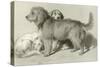 The Three Dogs-Edwin Henry Landseer-Stretched Canvas