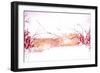 The Three Friends of Winter-Doug Chinnery-Framed Photographic Print