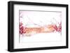 The Three Friends of Winter-Doug Chinnery-Framed Photographic Print