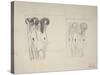 The Three Gorgons Sketches-Gustav Klimt-Stretched Canvas