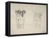 The Three Gorgons Sketches-Gustav Klimt-Framed Stretched Canvas