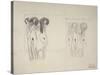 The Three Gorgons Sketches-Gustav Klimt-Stretched Canvas