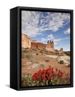 The Three Gossips and Common Paintbrush (Castilleja Chromosa), Arches National Park, Utah, USA-James Hager-Framed Stretched Canvas