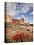 The Three Gossips and Common Paintbrush (Castilleja Chromosa), Arches National Park, Utah, USA-James Hager-Stretched Canvas