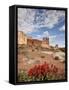 The Three Gossips and Common Paintbrush (Castilleja Chromosa), Arches National Park, Utah, USA-James Hager-Framed Stretched Canvas