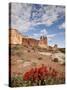 The Three Gossips and Common Paintbrush (Castilleja Chromosa), Arches National Park, Utah, USA-James Hager-Stretched Canvas