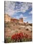 The Three Gossips and Common Paintbrush (Castilleja Chromosa), Arches National Park, Utah, USA-James Hager-Stretched Canvas