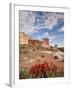 The Three Gossips and Common Paintbrush (Castilleja Chromosa), Arches National Park, Utah, USA-James Hager-Framed Premium Photographic Print