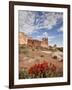 The Three Gossips and Common Paintbrush (Castilleja Chromosa), Arches National Park, Utah, USA-James Hager-Framed Premium Photographic Print