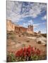 The Three Gossips and Common Paintbrush (Castilleja Chromosa), Arches National Park, Utah, USA-James Hager-Mounted Premium Photographic Print