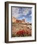 The Three Gossips and Common Paintbrush (Castilleja Chromosa), Arches National Park, Utah, USA-James Hager-Framed Photographic Print