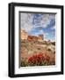 The Three Gossips and Common Paintbrush (Castilleja Chromosa), Arches National Park, Utah, USA-James Hager-Framed Photographic Print