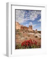 The Three Gossips and Common Paintbrush (Castilleja Chromosa), Arches National Park, Utah, USA-James Hager-Framed Photographic Print