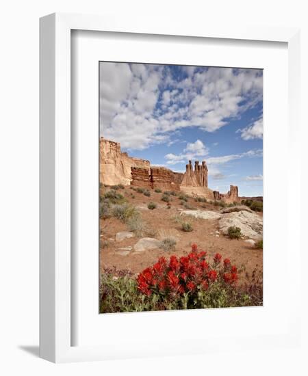 The Three Gossips and Common Paintbrush (Castilleja Chromosa), Arches National Park, Utah, USA-James Hager-Framed Photographic Print