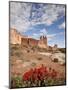 The Three Gossips and Common Paintbrush (Castilleja Chromosa), Arches National Park, Utah, USA-James Hager-Mounted Photographic Print
