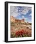 The Three Gossips and Common Paintbrush (Castilleja Chromosa), Arches National Park, Utah, USA-James Hager-Framed Photographic Print