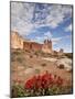 The Three Gossips and Common Paintbrush (Castilleja Chromosa), Arches National Park, Utah, USA-James Hager-Mounted Photographic Print