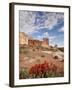 The Three Gossips and Common Paintbrush (Castilleja Chromosa), Arches National Park, Utah, USA-James Hager-Framed Photographic Print