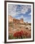 The Three Gossips and Common Paintbrush (Castilleja Chromosa), Arches National Park, Utah, USA-James Hager-Framed Photographic Print