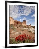 The Three Gossips and Common Paintbrush (Castilleja Chromosa), Arches National Park, Utah, USA-James Hager-Framed Photographic Print