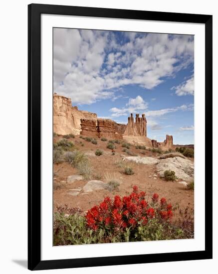 The Three Gossips and Common Paintbrush (Castilleja Chromosa), Arches National Park, Utah, USA-James Hager-Framed Photographic Print