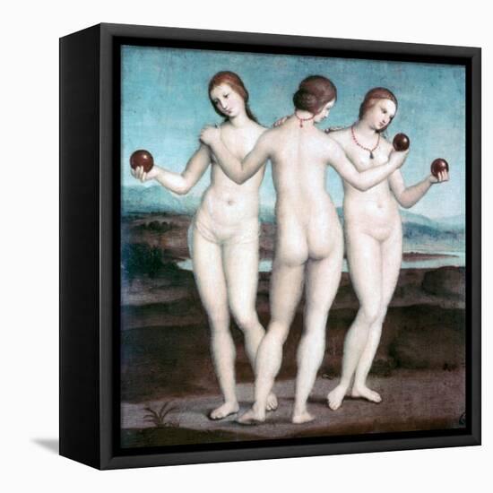 The Three Graces, 1504-1505-Raphael-Framed Stretched Canvas