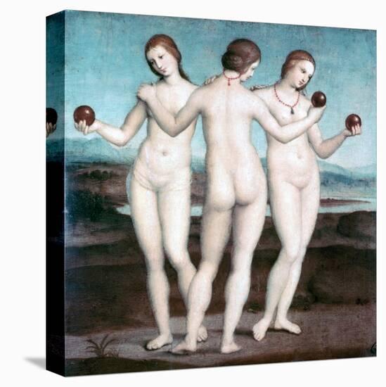 The Three Graces, 1504-1505-Raphael-Stretched Canvas