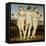 The Three Graces, C. 1502-3-Raffael-Framed Stretched Canvas