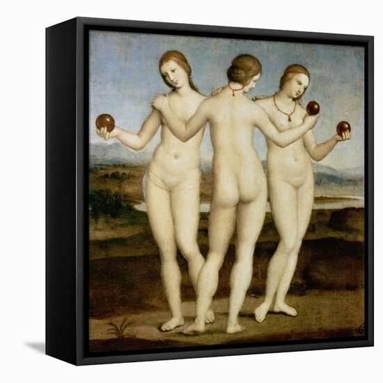 The Three Graces, C. 1502-3-Raffael-Framed Stretched Canvas