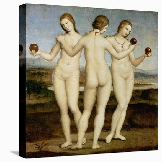 The Three Graces, C. 1502-3-Raffael-Stretched Canvas