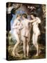 The Three Graces, C. 1635-Peter Paul Rubens-Stretched Canvas