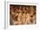 The Three Graces Dance before Gods' Assembly Fresco-Francesco Primaticcio-Framed Giclee Print