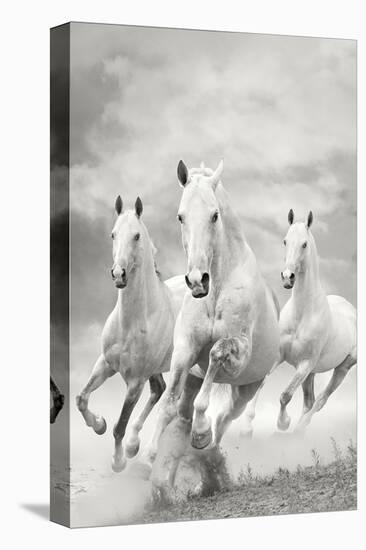 The Three Graces-null-Stretched Canvas