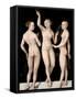 The Three Graces-Lucas Cranach the Elder-Framed Stretched Canvas