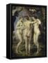The Three Graces-Peter Paul Rubens-Framed Stretched Canvas