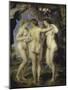 The Three Graces-Peter Paul Rubens-Mounted Giclee Print