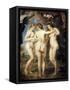 The Three Graces-Peter Paul Rubens-Framed Stretched Canvas