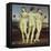 The Three Graces-Raphael-Framed Stretched Canvas