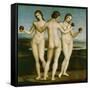 The Three Graces.-Raphael-Framed Stretched Canvas