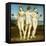 The Three Graces-Raphael-Framed Stretched Canvas