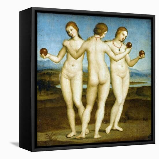 The Three Graces-Raphael-Framed Stretched Canvas