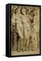 The Three Graces-Peter Paul Rubens-Framed Stretched Canvas