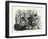 The Three Heads of the Well-Arthur Rackham-Framed Giclee Print