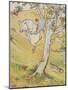 The Three Little Pigs-Leonard Leslie Brooke-Mounted Giclee Print