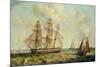 The Three-Masted Barque 'Halcyon' of Hull, 1832-Thomas A. Binks-Mounted Giclee Print