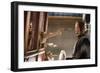 THE THREE MUSKETEERS (L-R) MILLA JOVOVICH and MATTHEW MACFADYEN star in THE THREE MUSKETEERS 3D. (p-null-Framed Photo